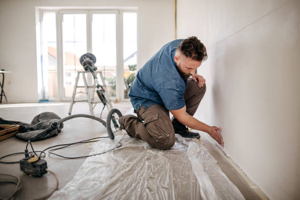 Best Drywall Sanding and Smoothing  in Fleetwood, PA